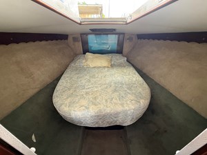 Caribbean Express 13 