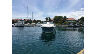 2012 Pursuit OS 385 Conquest 7 