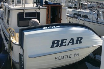Bear 6 