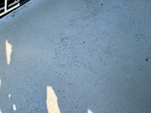 Dragonfly Chaser 109 