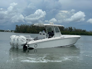 Shellyfish 23 24