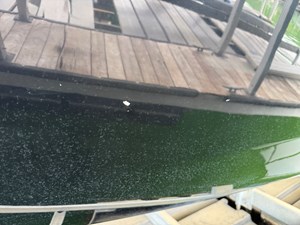 024 Yamaha 252SD NLNL 107 