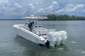 Shellyfish 18 19