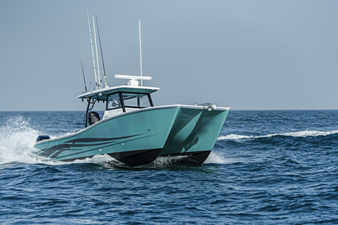 SILVERCAT 34CC 9 