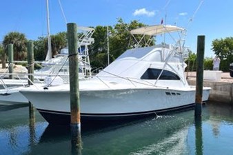 Lisa's Jag 1 2