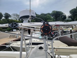 Bay Rat II 33 