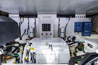 Irish Lady 103 4L4A8895