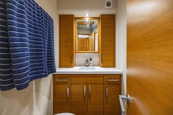 Farther & Sun 48 Bow VIP En-Suite Head