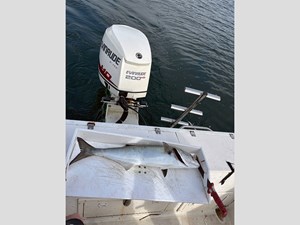 23' Hydra-Sports 2000 Seahorse 70 