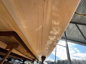 Southern Cross 204 