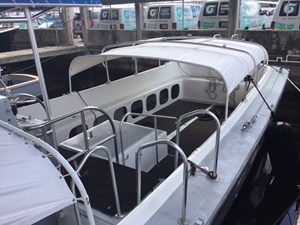 White Seal 6 5_IMG_0325