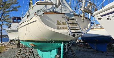 Katydid 52 
