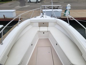 Bay Rat II 20 