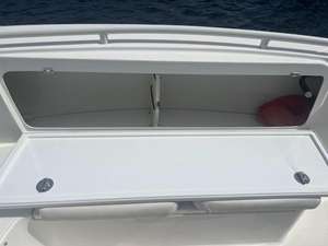 2009 Everglades 290 Center Console 22 23