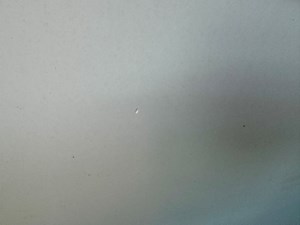 Lotza Knotz 144 