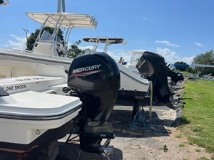 just one snook 6 