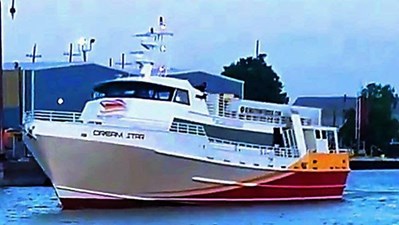 Dream Star 12 13