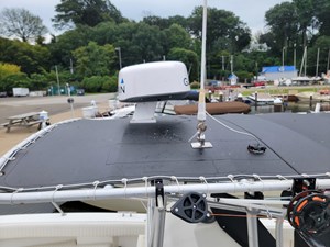 Bay Rat II 3 