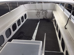 White Seal 7 6_IMG_0341