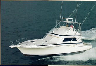 CONQUISTADORA 2 Sistership