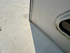 Dragonfly Chaser 117 