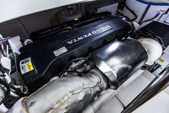 Irish Lady 109 4L4A8902