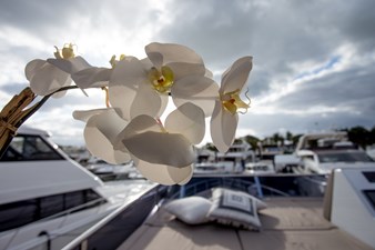 Mazarin 72 Flybridge 21 