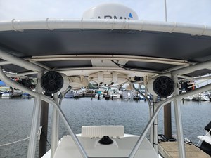 Bay Rat II 31 