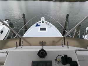 Willow 22 Bow