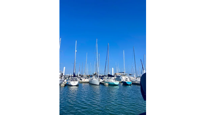 2014 Jeanneau Sun Odyssey 349 36 