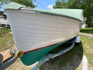Molly 7 8