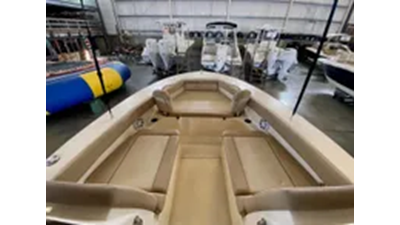 2023 Scout 195 Sport Dorado 12 