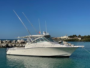 BONA VITA 0 PROFILE  