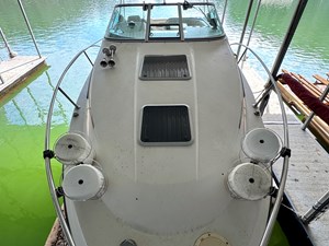 Southern Cross 30 
