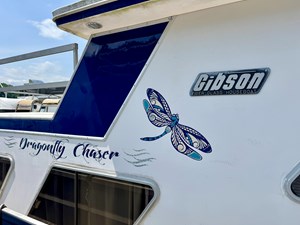 Dragonfly Chaser 133 