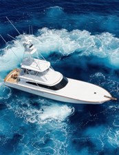 ARTEMIS 50 IMG_4672
