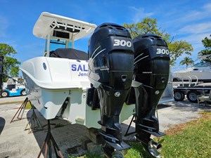 Salty Frog 7 