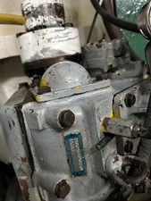 IRIS 61 IMG_0983