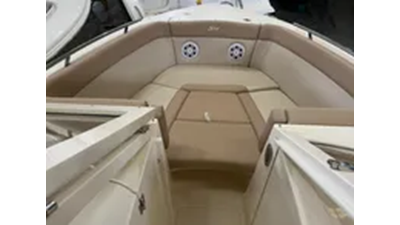 2022 Scout 240 Dorado 4 