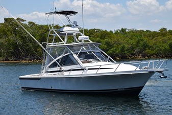 IT'S A WRAP 0 33' Blackfin Combi 33, IT'S A WRAP