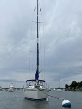 TFIN 35 IMG_7741