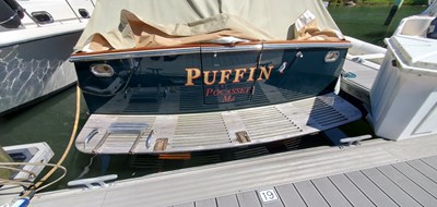 Puffin 12 20240829_132955