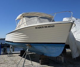 Tender Behind 38 