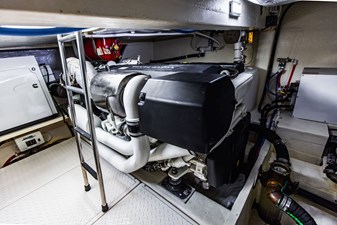 Irish Lady 108 4L4A8901