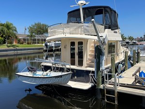 NAUTI DOG 10 9328323_961407805_0_070420240658_5