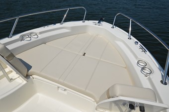 Boston Whaler 250 19 Sunpad