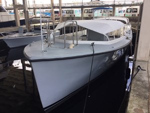 White Seal 5 4.2IMG_0327