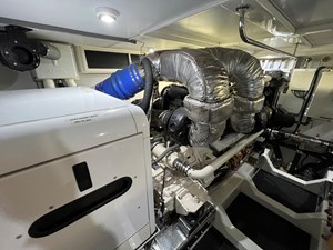 Bucephalus 40 IMG_5369