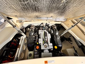 no name 13 IMG_1974
