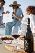 APANI 23 APANI EXT 16